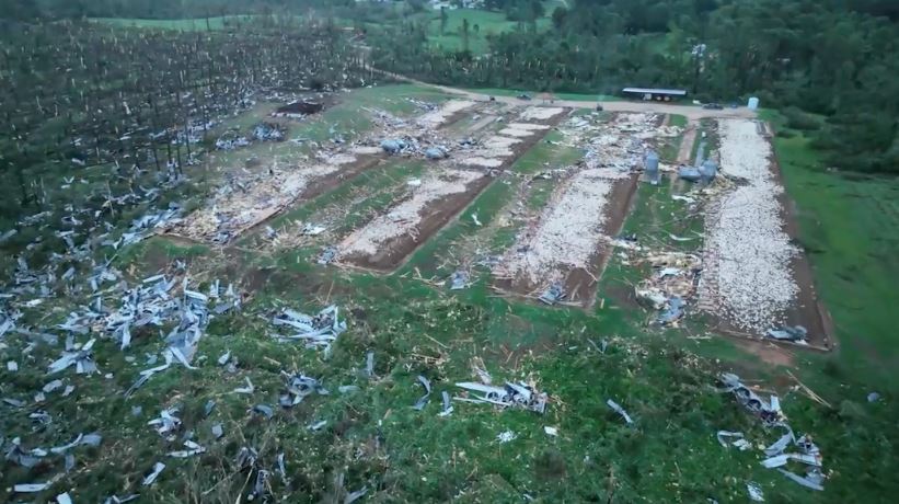 tornado louin mississippi