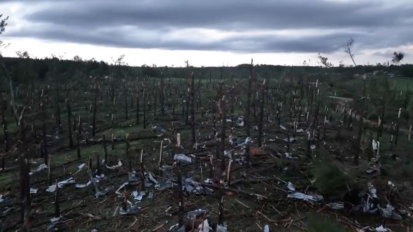 tornado louin mississippi