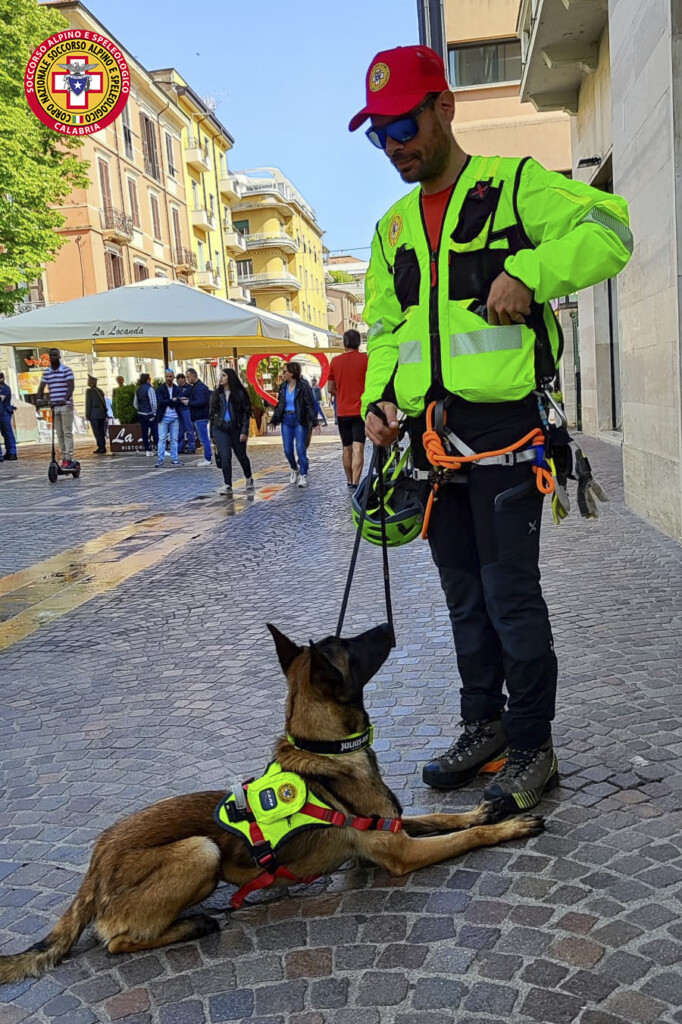 unità cinofile da ricerca di superficie