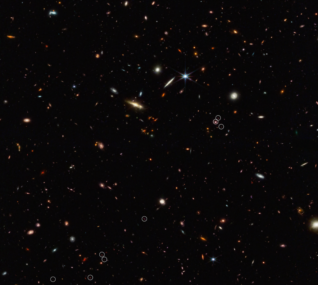 webb galassie ragnatela cosmica