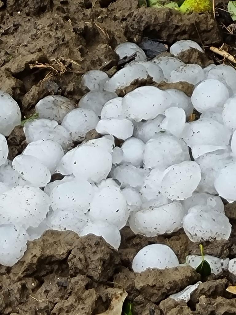 Grandinata nel bolognese