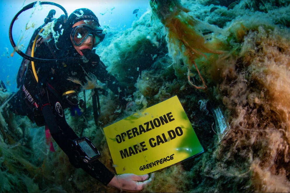 Mare Caldo, rapporto di Greenpeace e DISTAV