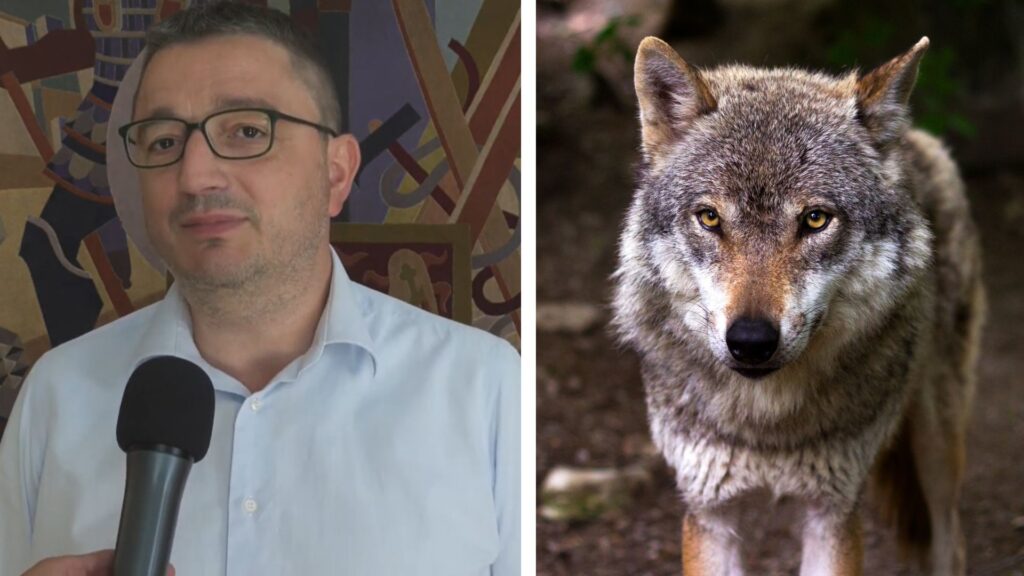 Il Cacciatore Maurizio e il lupo