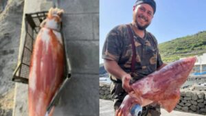calamari-pantelleria-scaled