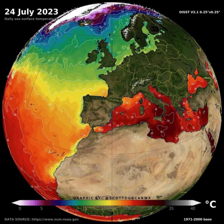 caldo mar mediterraneo record