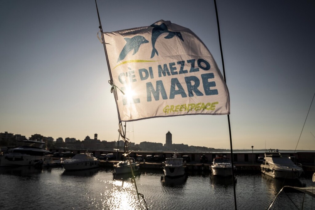 cetacei isole pontine