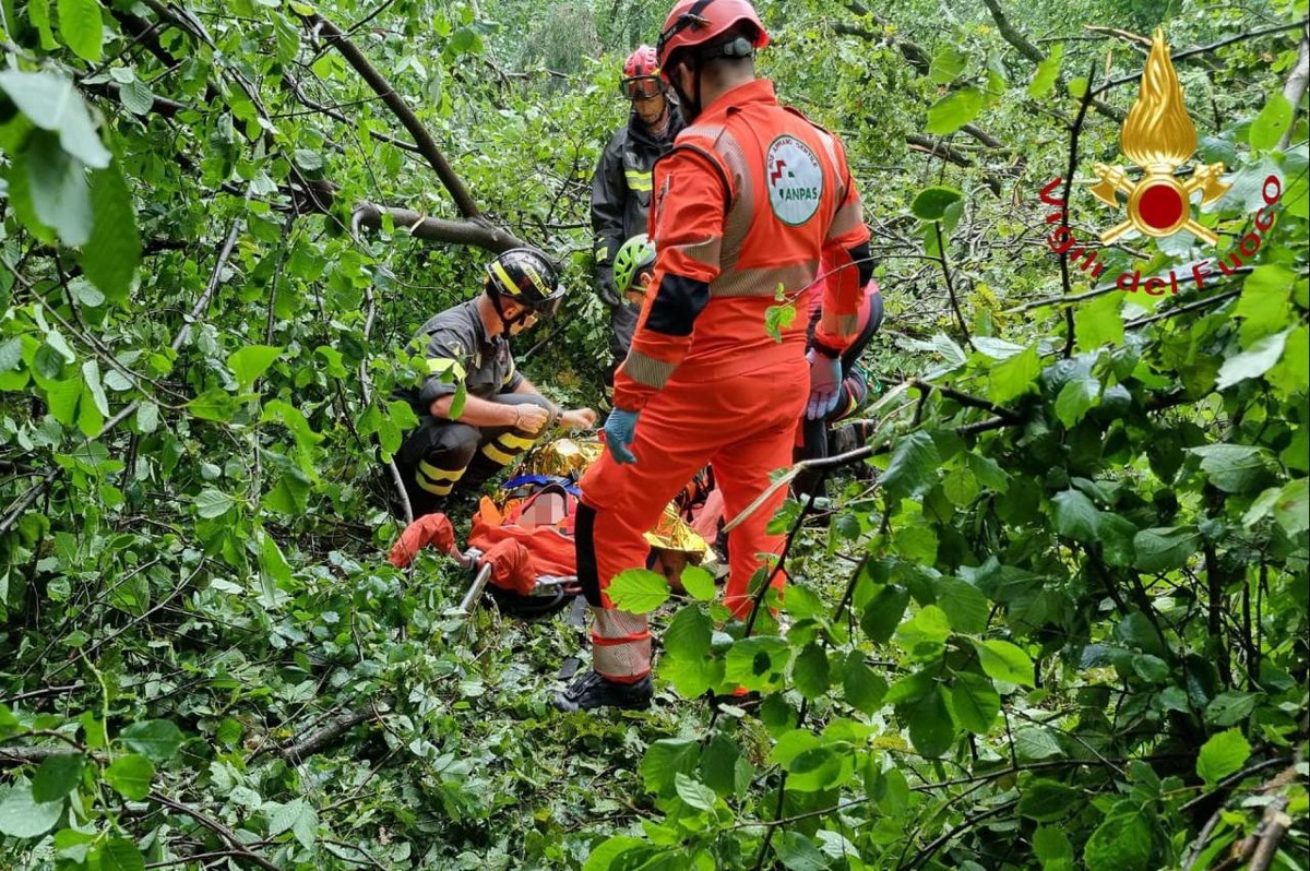 Pianta cade su escursionisti per il temporale nel Comasco, tre feriti