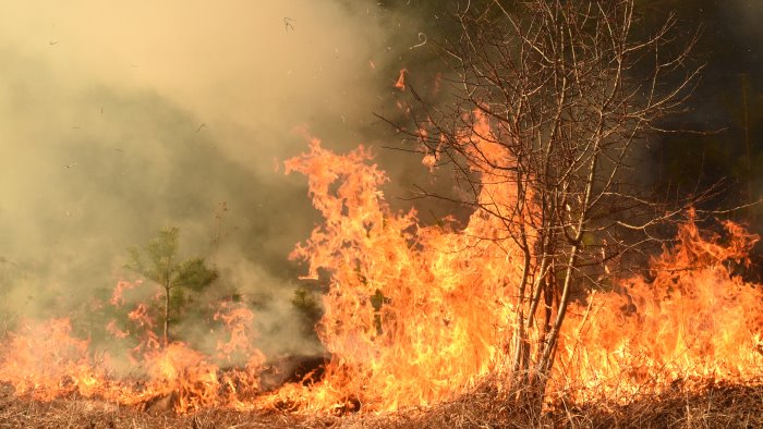 incendi Dubrovnik Grecia