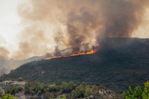 incendi grecia