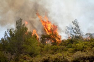 incendi grecia