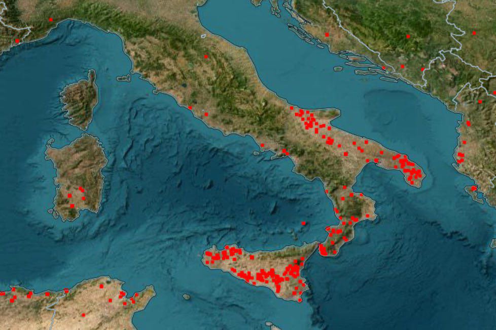 incendi italia 24 luglio 2023