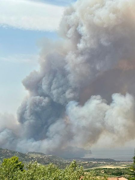 incendi oliveri sicilia