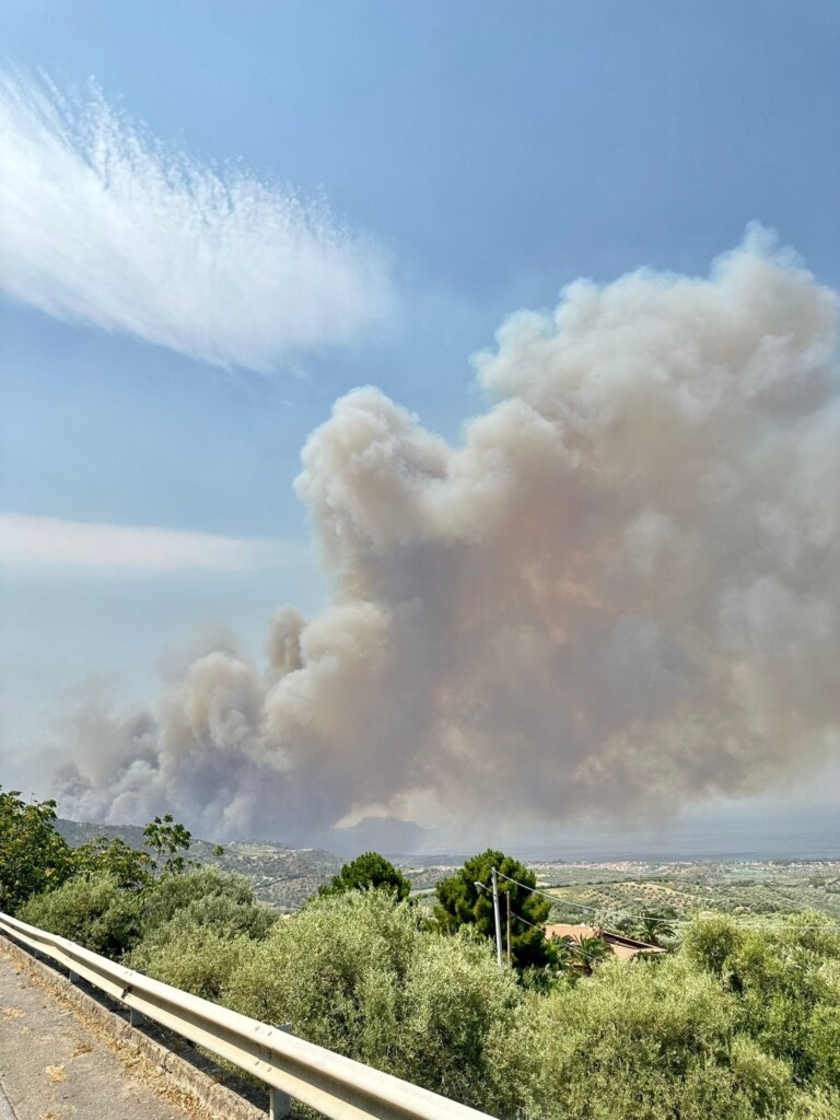 incendi oliveri sicilia