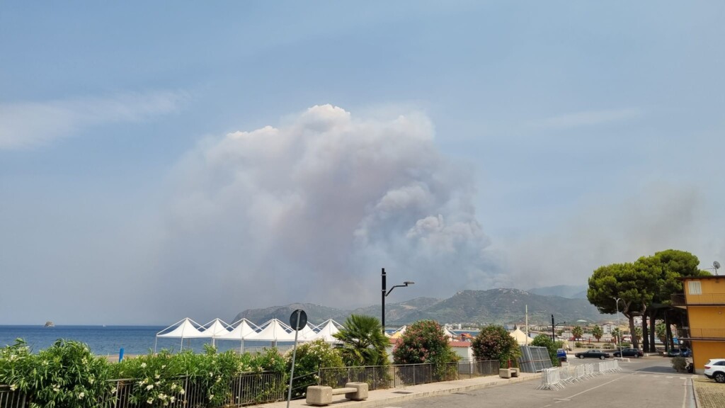incendi oliveri sicilia