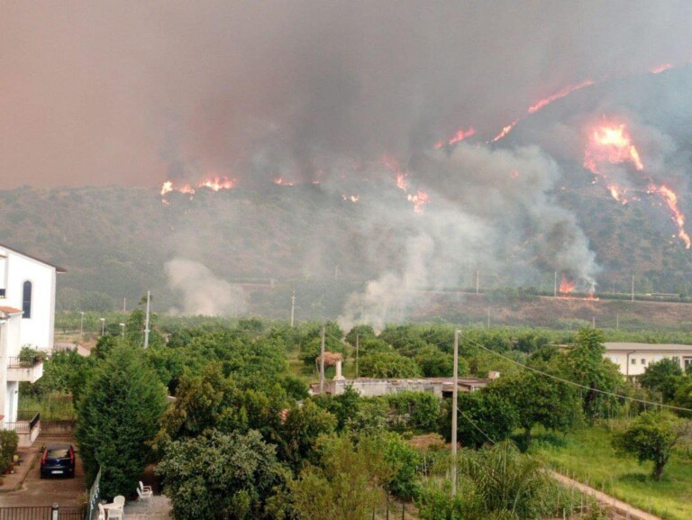 incendi oliveri sicilia