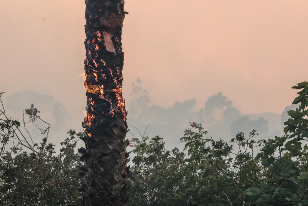 incendio cascais portogallo
