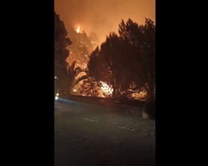 incendio la palma canarie