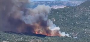 incendio sardegna