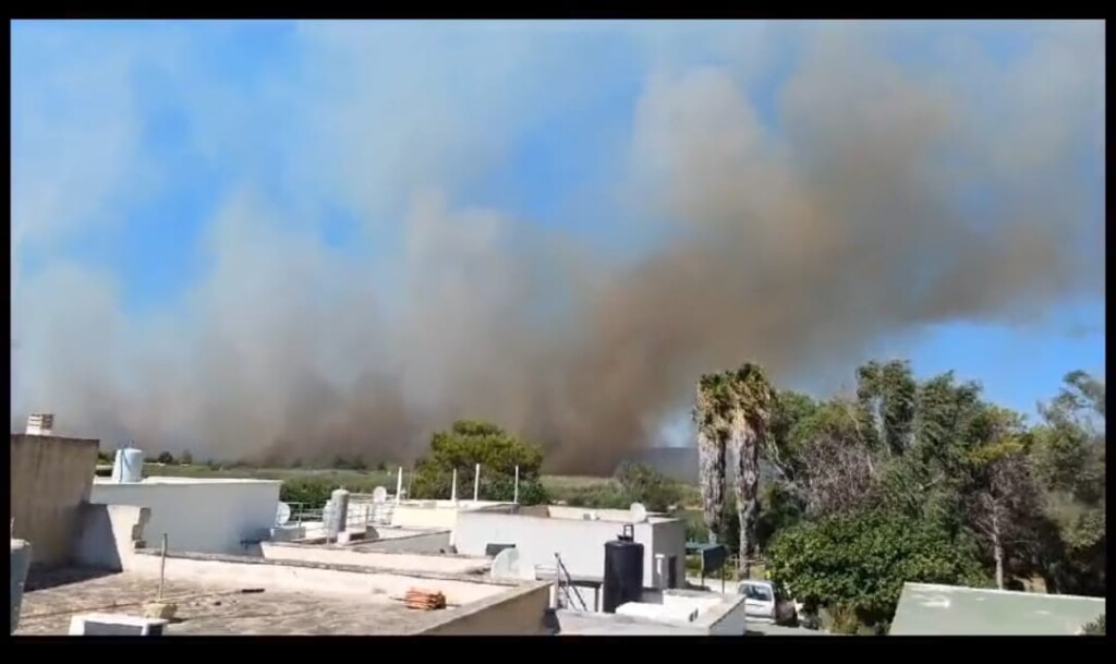 incendio torre mozza