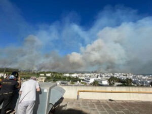 incendio torre mozza