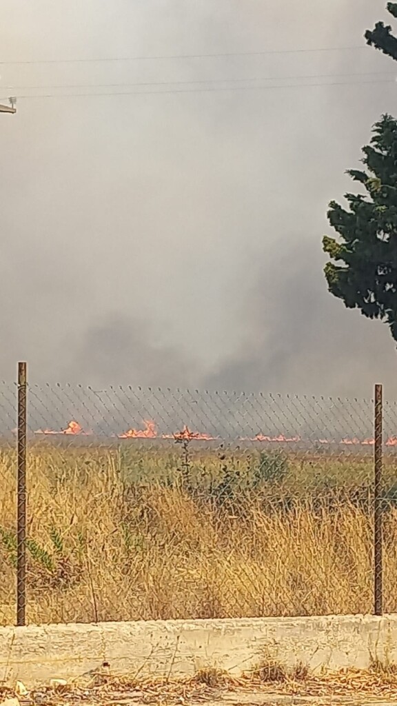 incendio torre mozza