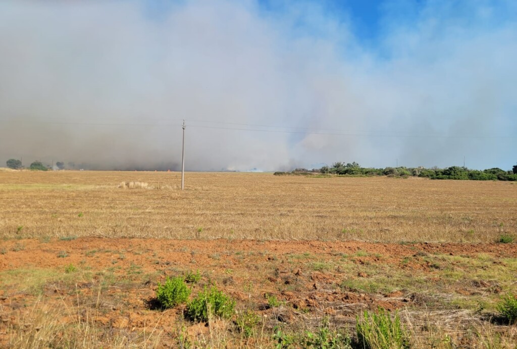 incendio torre mozza