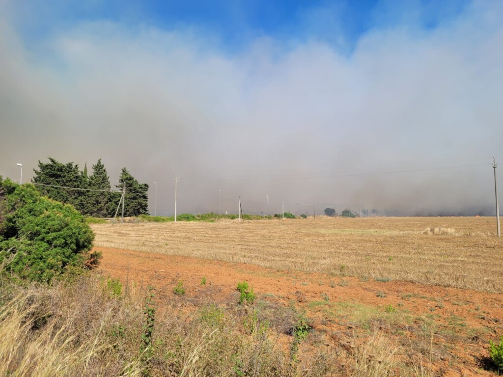 incendio torre mozza