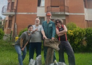 larici fossili