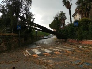 maltempo alfonsine emilia romagna