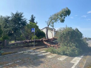 maltempo alfonsine emilia romagna