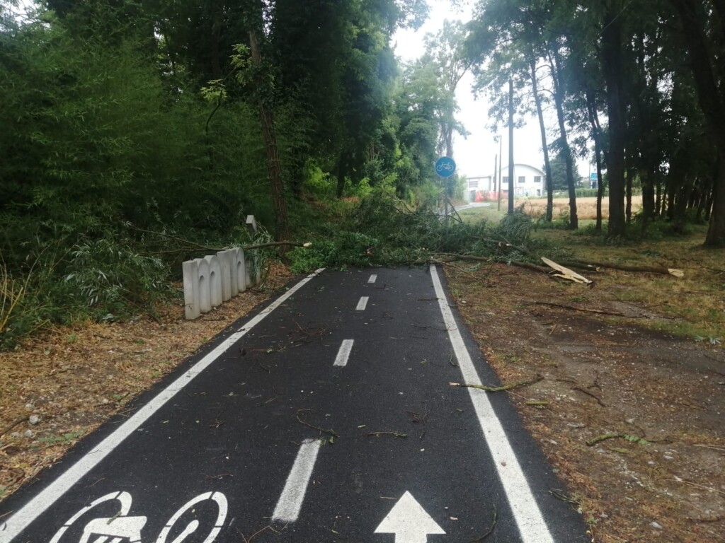 maltempo friuli venezia giulia