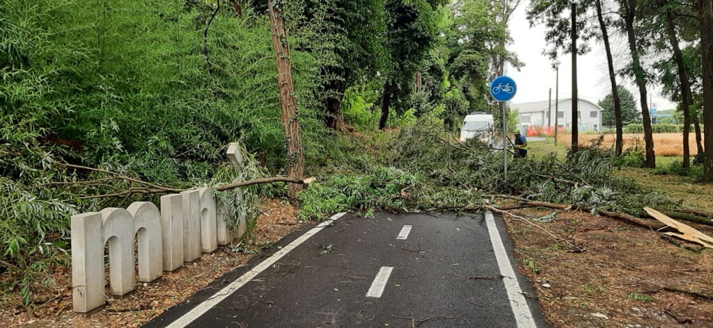 maltempo friuli venezia giulia
