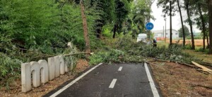 maltempo friuli venezia giulia