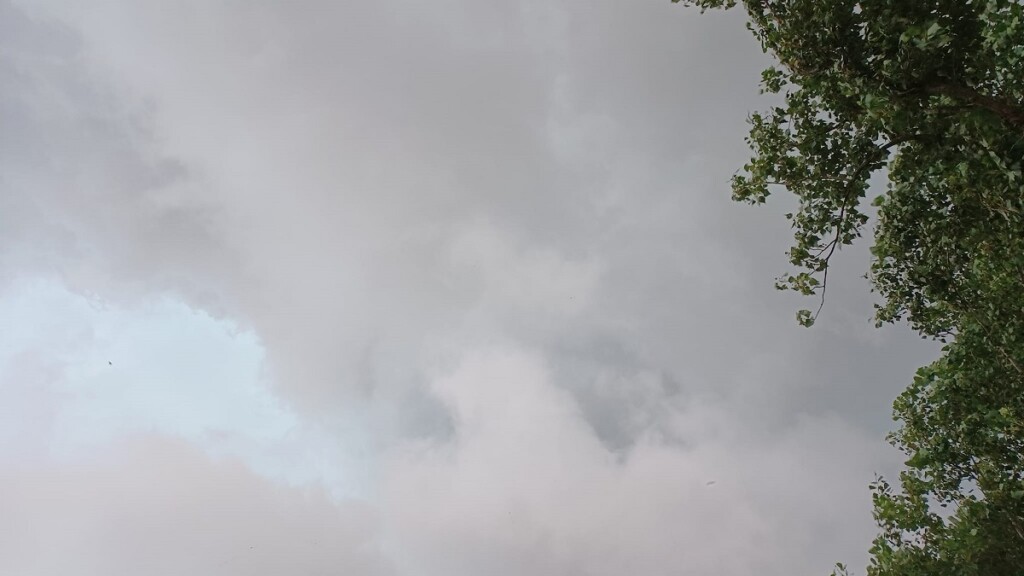 maltempo nubifragio forlì