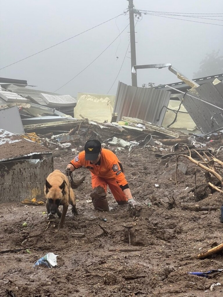 maltempo piogge corea sud
