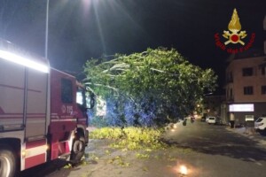 maltempo rovigo