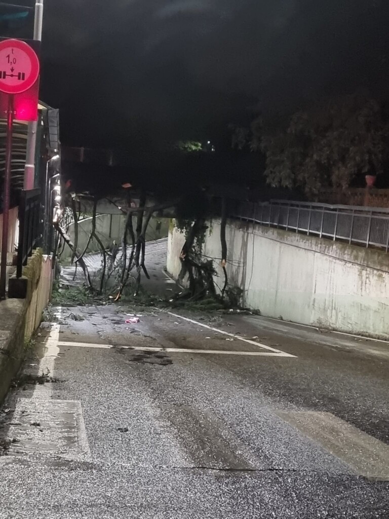 maltempo vento novara trecate