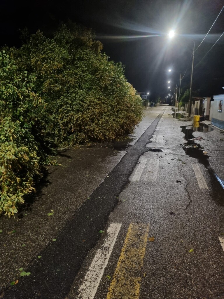 maltempo vento novara trecate