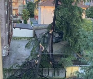 maltempo vento novara trecate