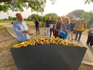 mostra claudio palmieri parco naxos