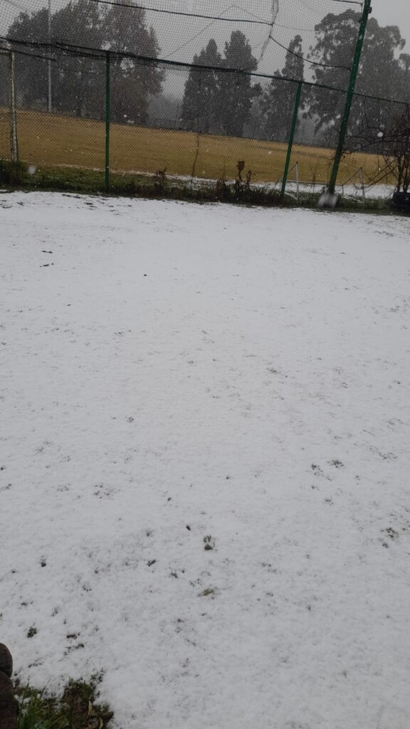 nevicata johannesburg