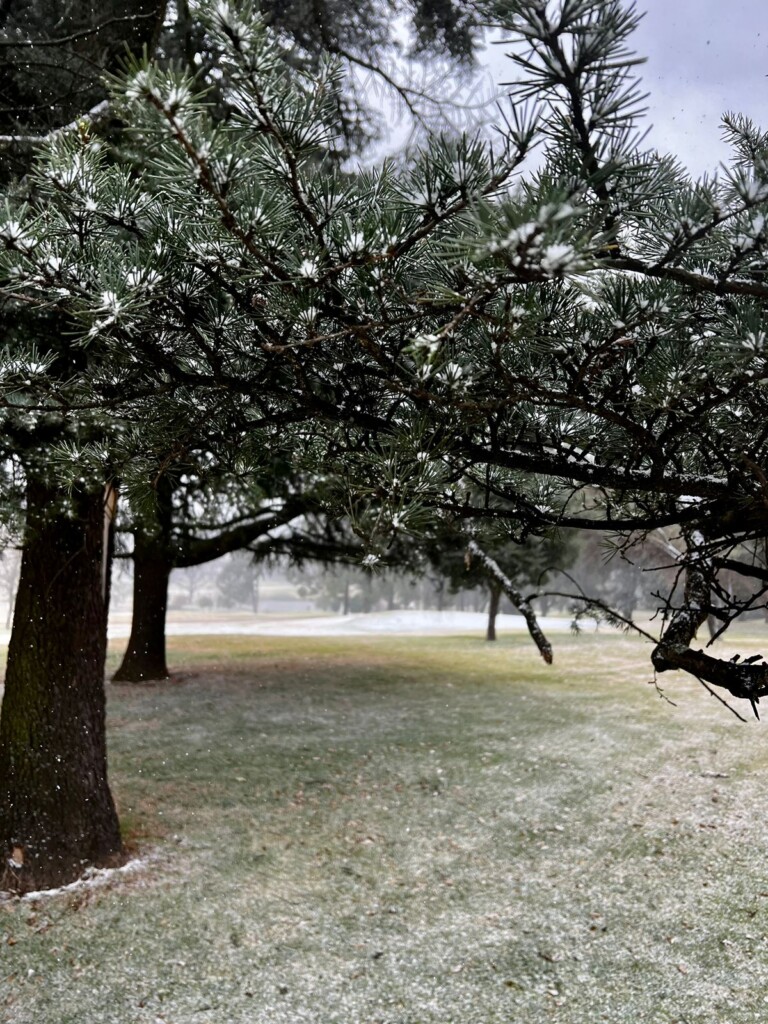 nevicata johannesburg