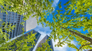 progetto europeo soluzioni circolari città