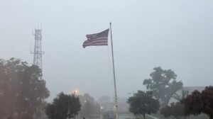 tempeste washington