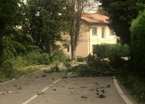 vento forte monghidoro