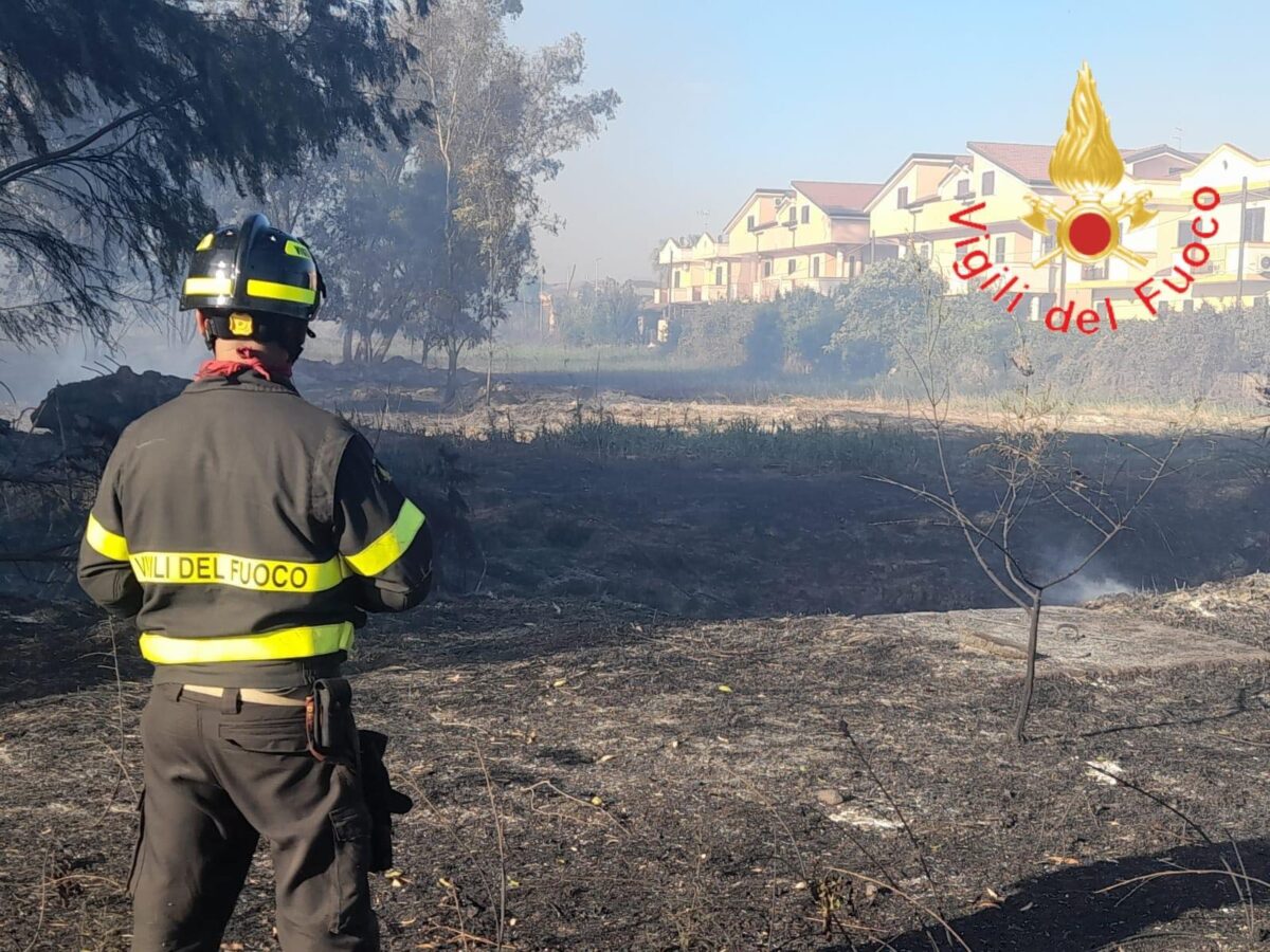 incendio di vegetazione a Villa Piana (Cosenza)