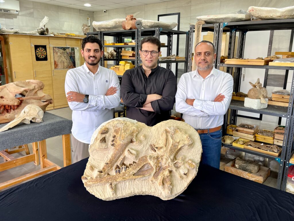 basilosauridi