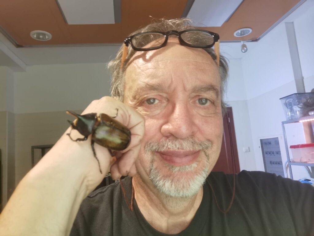 scarabeo gigante
