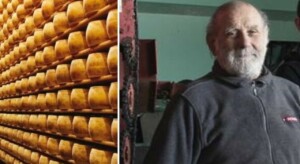 Chiapparini grana padano