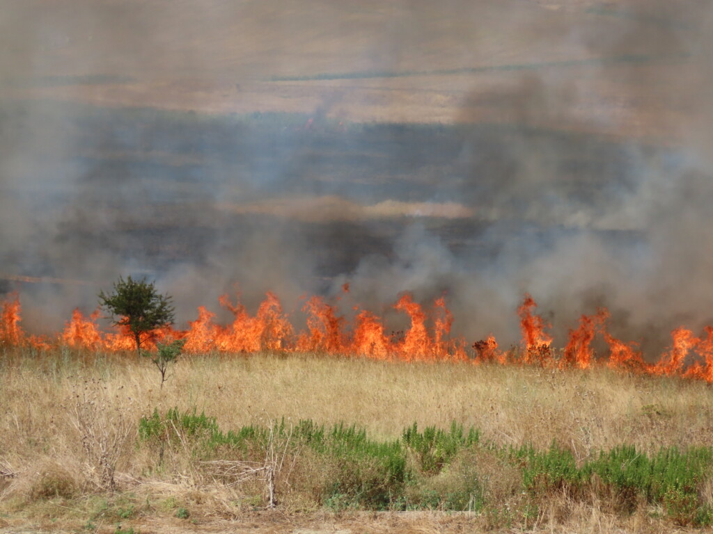 Incendio Diga del Basentello